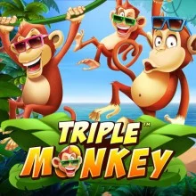 Triple Monkey