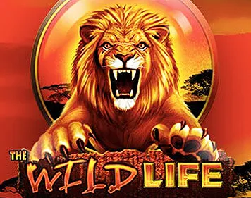 african wildlife mega888 slot