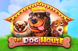 dog house