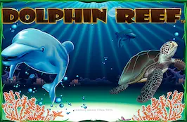 dolphinreef rtp slot