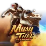 Muay Thai Champion