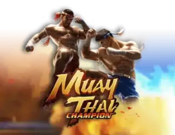 Muay Thai Champion