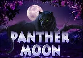 Panther Moon