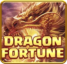 dragon fortune