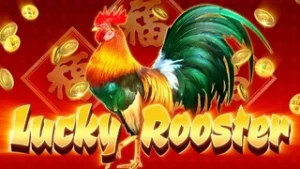 slot 3 lucky rooster